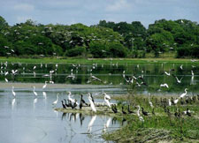 Belize-Belize Coast-Half Moon Caye Atoll Adventure